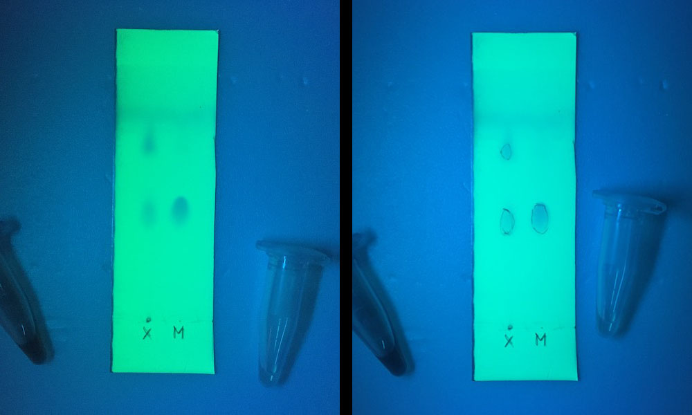 TEST COCAINE PURITY