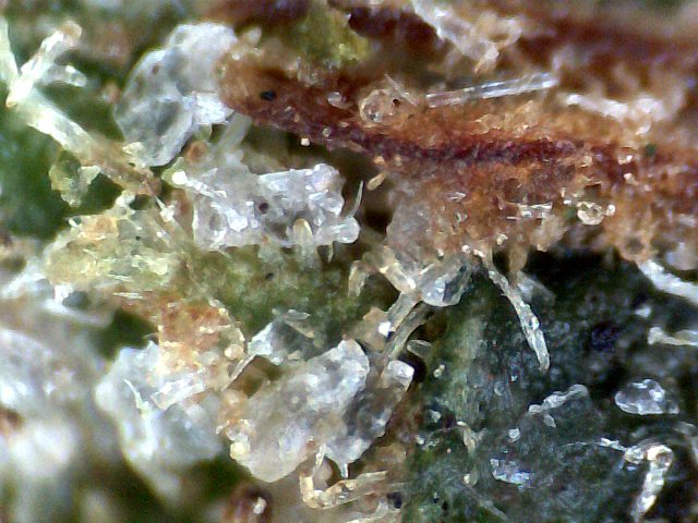 Cannabis flower with sugar / Brix