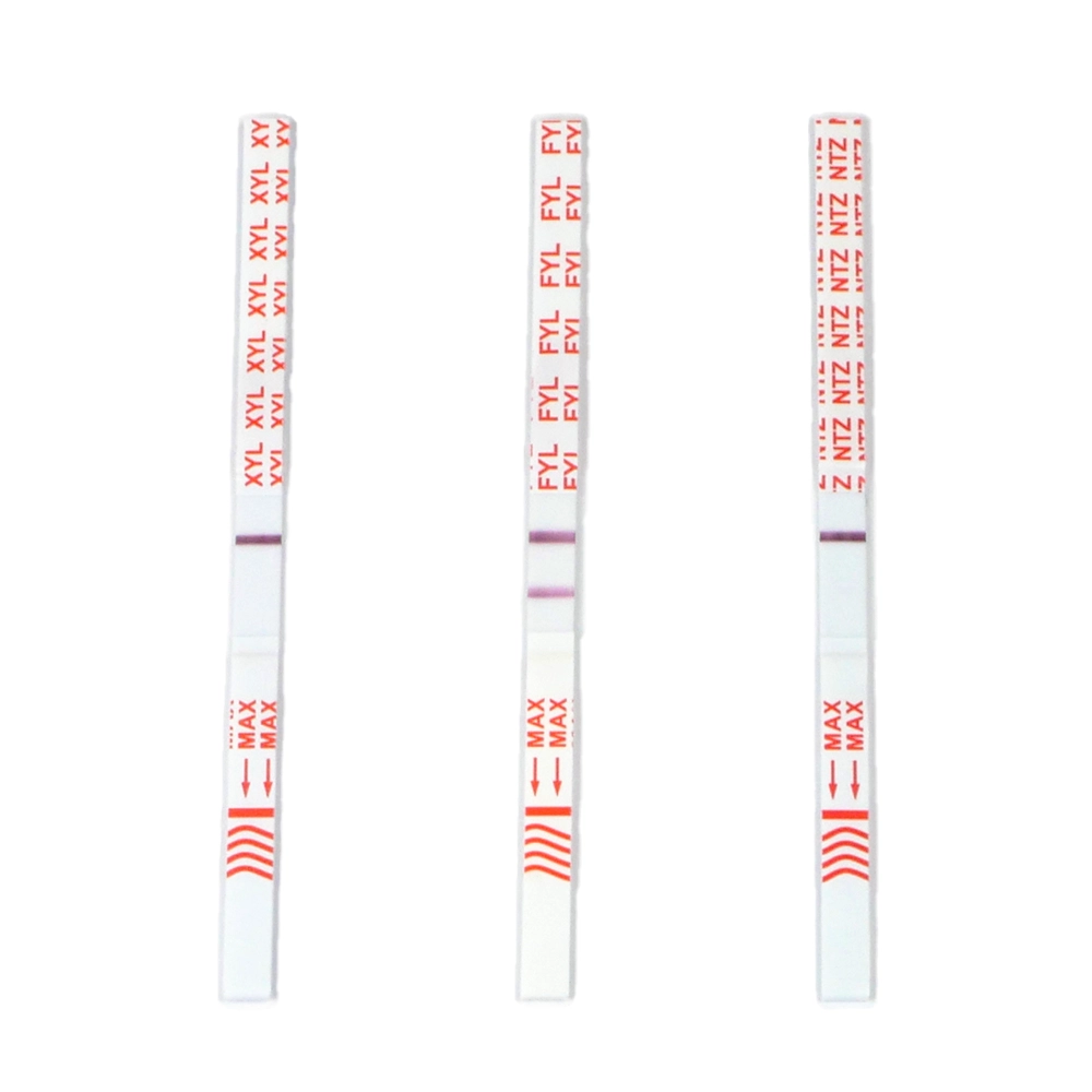 Fentanyl test strips